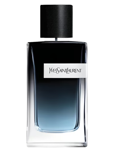 YSL Y EDP